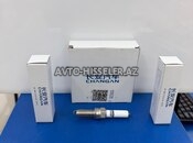 Alışdırma şamları